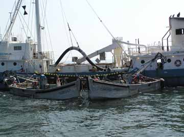 Commercial Fishing Near Reedville, VA